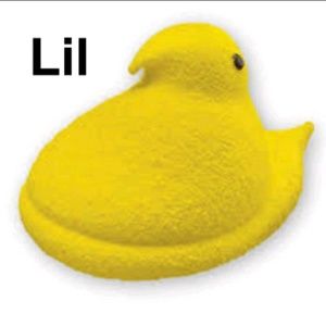 Meet your Posher, Nathaniel